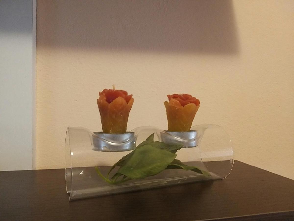 Sunny Apartment Jukic With Sea View 扎达尔 外观 照片