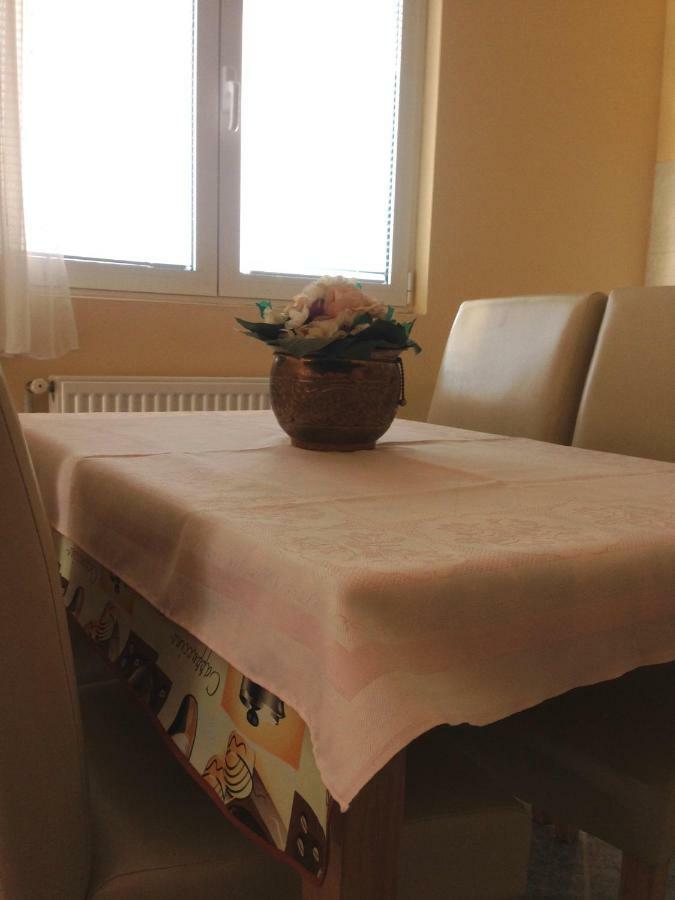 Sunny Apartment Jukic With Sea View 扎达尔 外观 照片